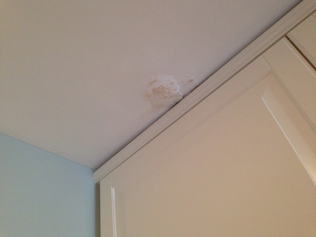 water stain on ceiling