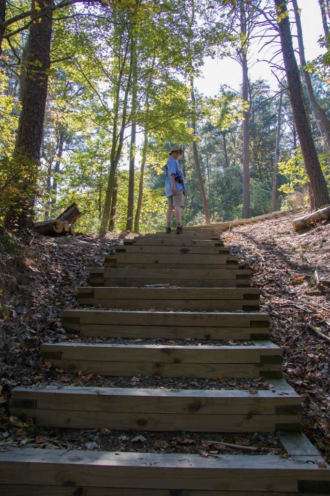 2013_10_05 11_50_38 Westmoreland State Park Camping