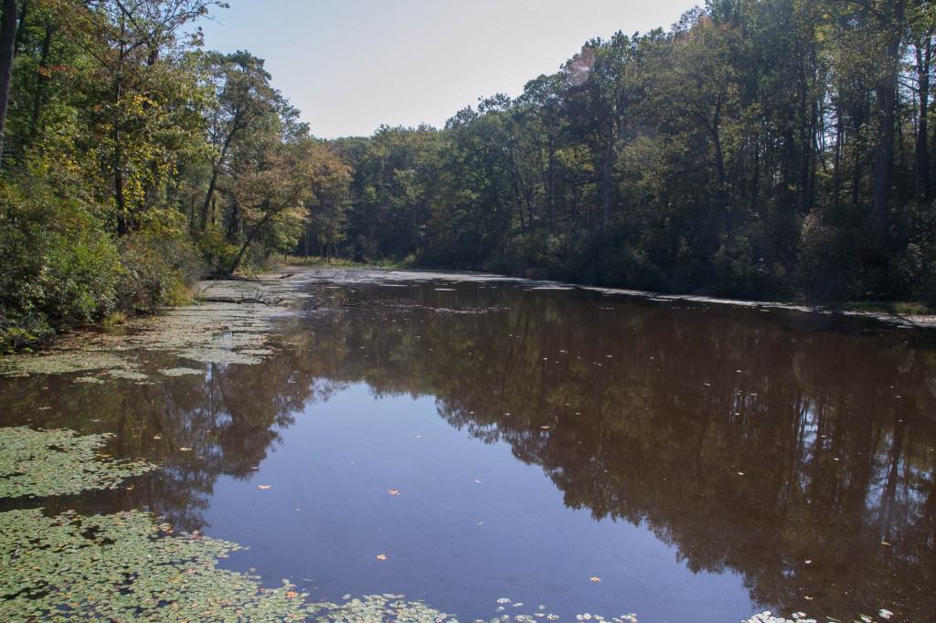 2013_10_05 12_11_05 Westmoreland State Park Camping (Ken)