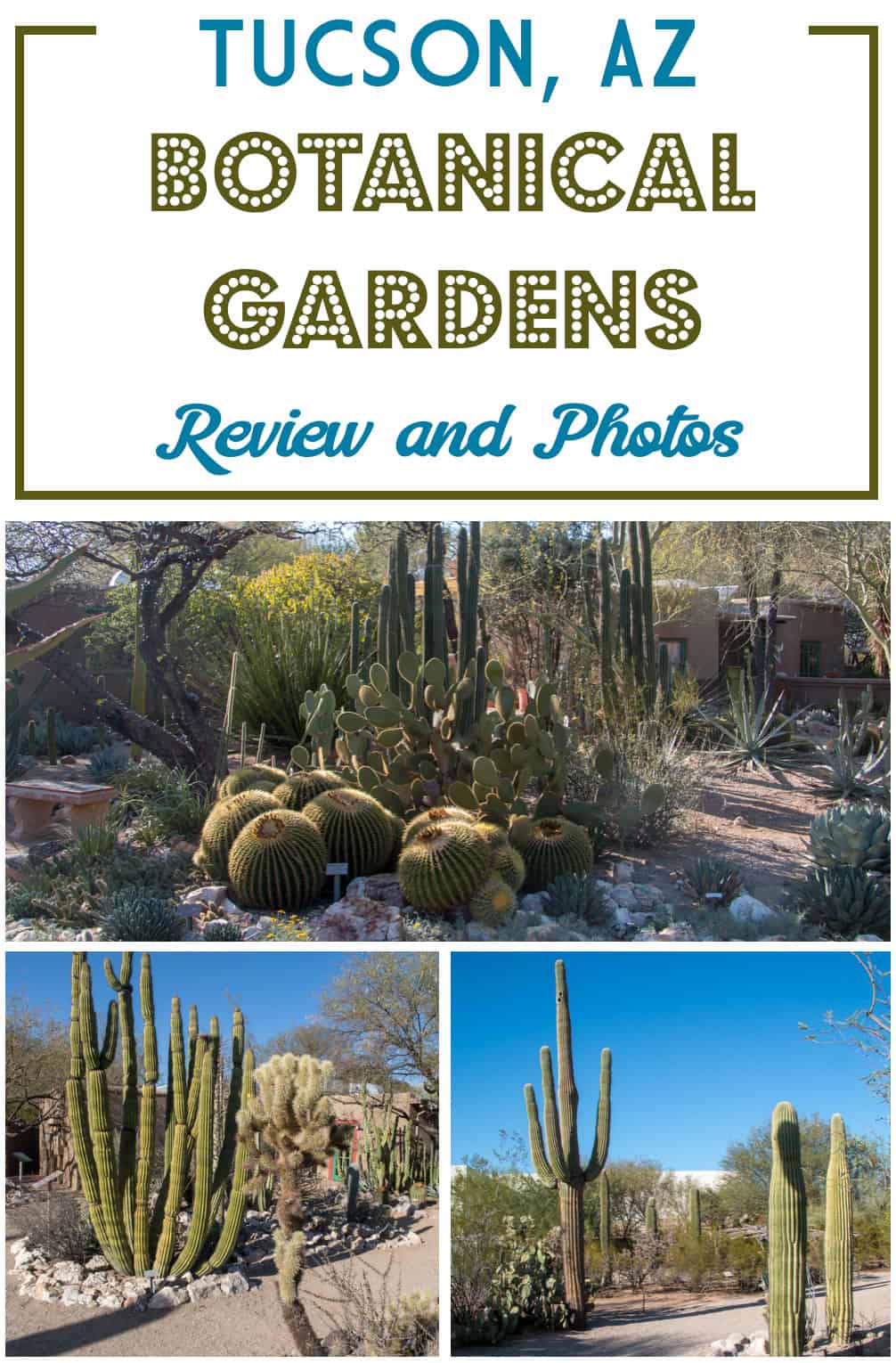 Looking for travel ideas for Tucson or while you're in the Southwest USA? Check out the Tucson Botanical Gardens and read my review and photos