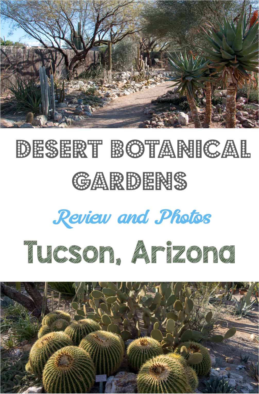 Botanical gardens with cactus in the desert? Indeed. If you're traveling to Tucson, Arizona, check out the Tucson Botanical Gardens