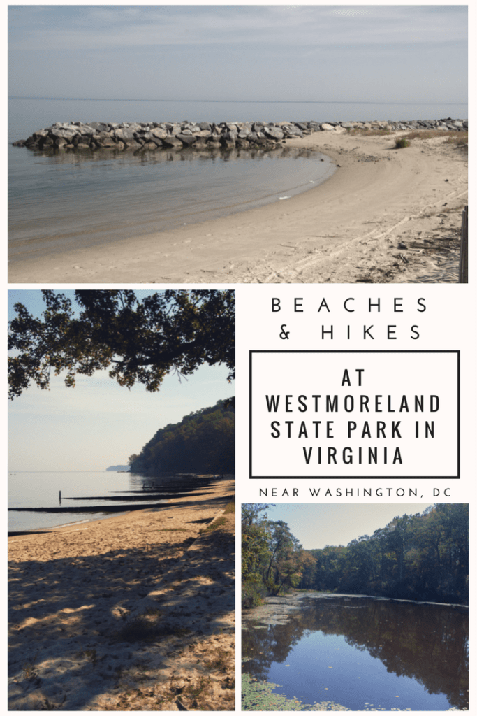 beaches and hikes at westmoreland state park in virginia | camping near DC