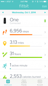 Fitbit-screenshot-stats