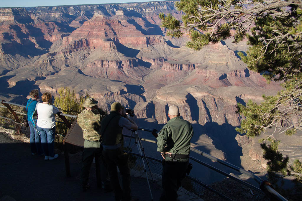 Park Rangers looking for illegal activity at Grand Canyon
