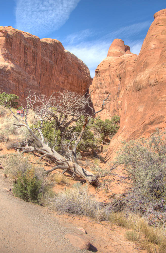 Devil’s Garden - Arches National Park