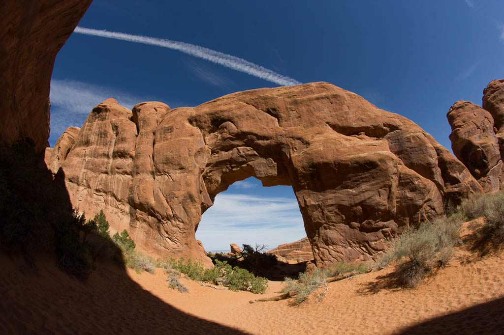 Pine Tree Arch