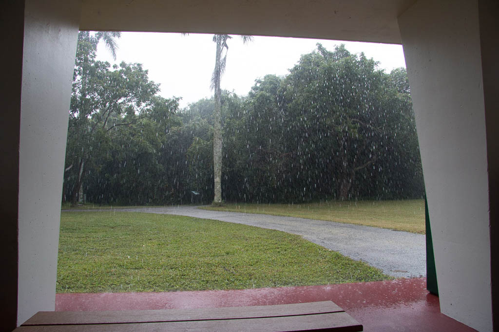 Waiting at covered picnic table spot at Anhinga trailhead