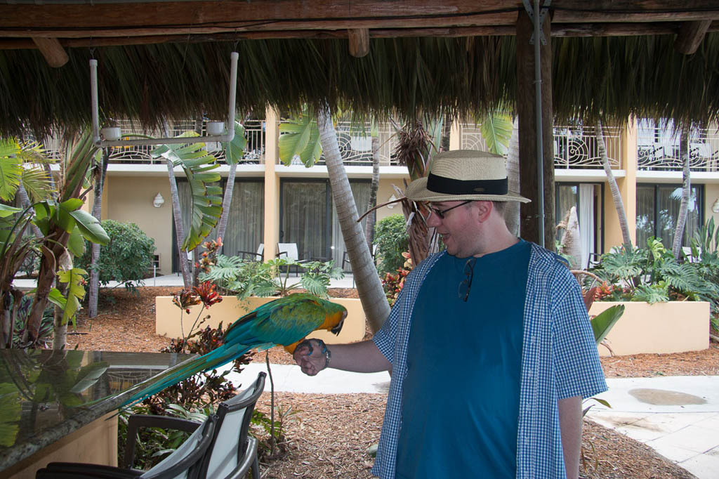 Ken getting bit by parrot