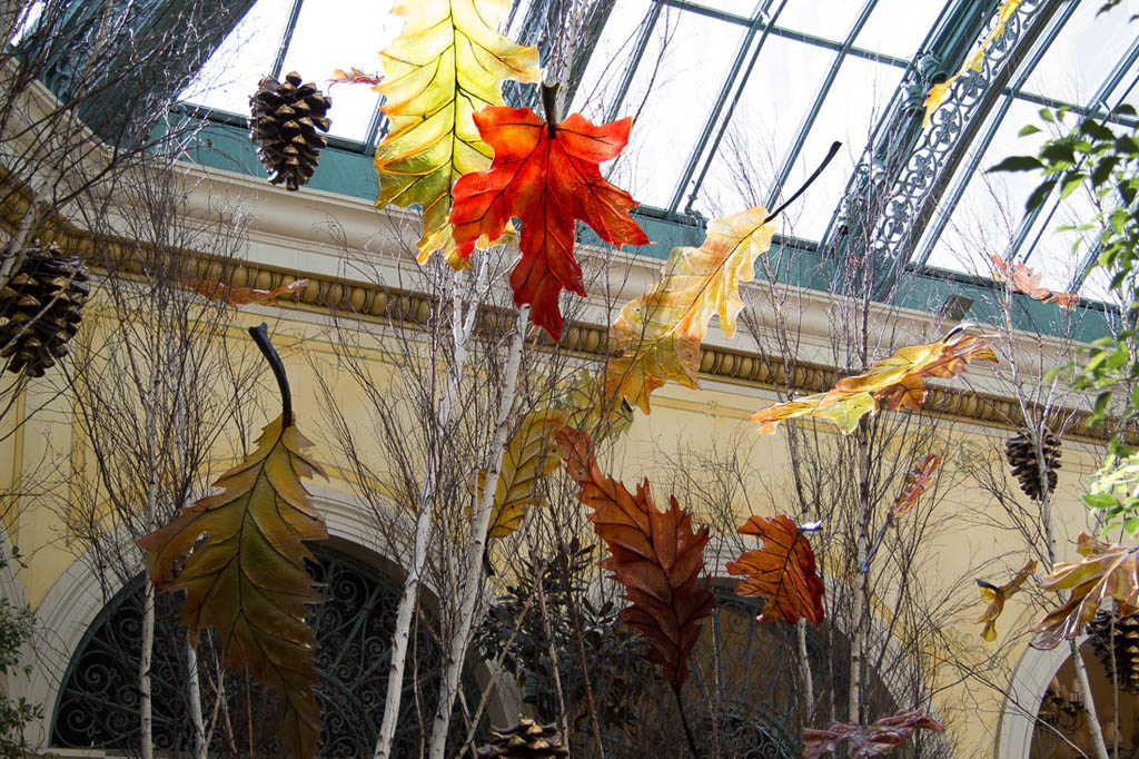 Conservatory at the Bellagio