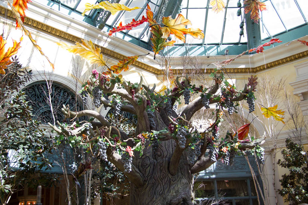 Conservatory at the Bellagio