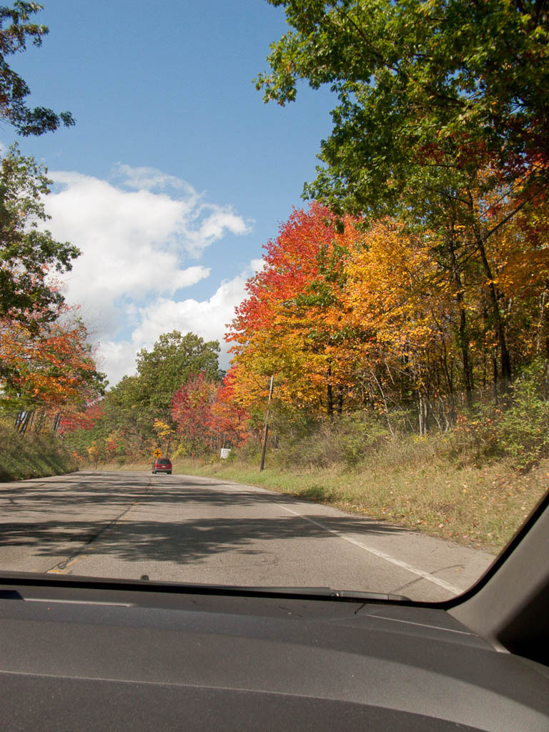 Fall foliage on our drive up to Niagara Falls