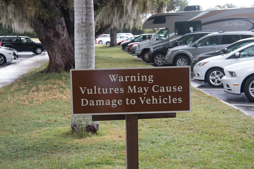 Sign at Everglades National Park - Vultures May Cause Damage to Vehicles