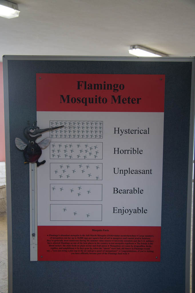 Mosquito Meter: Hysterical, at Everglades National Park