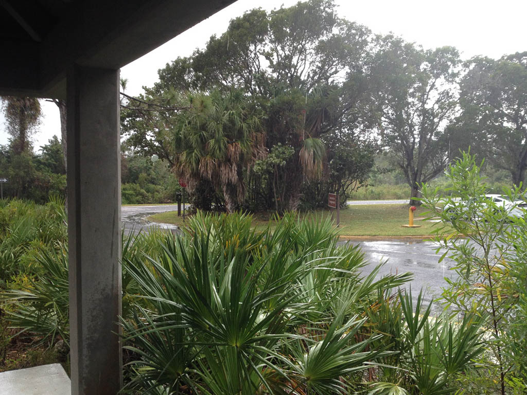 Pelting rain at Everglades National Park 