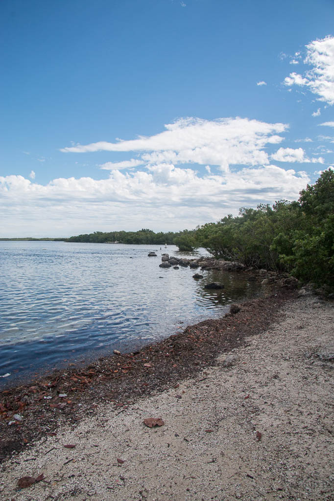 Beaches at John Pennekamp Coral Reef State Park