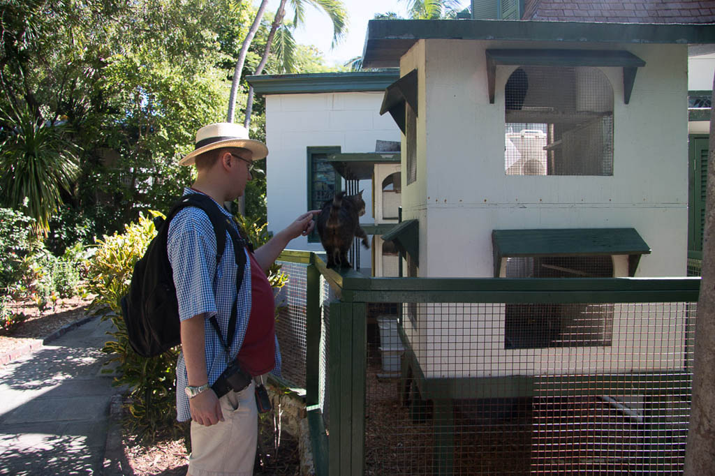 House for cats at Hemingway House