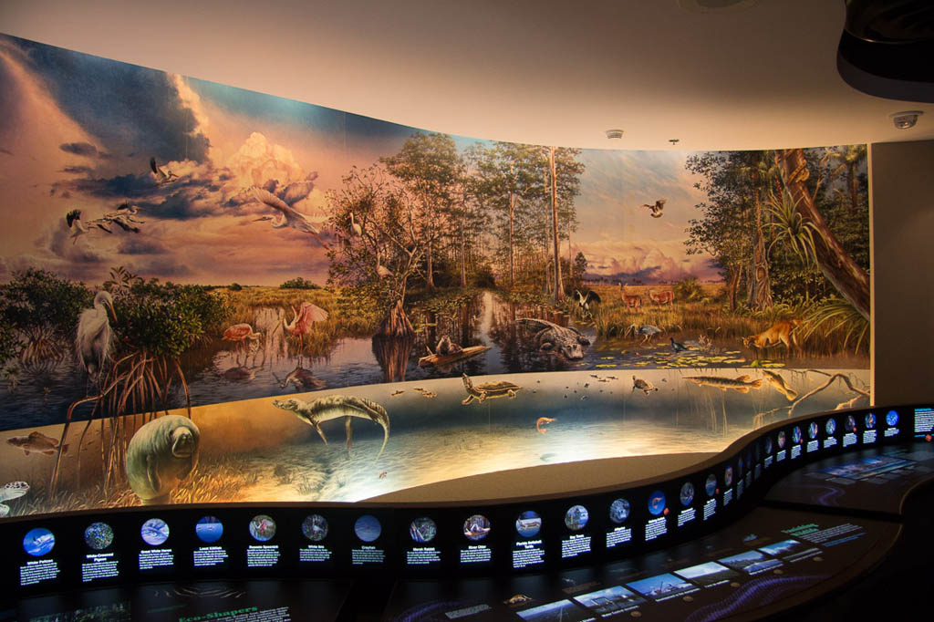 Visitor Center exhibits at Everglades National Park