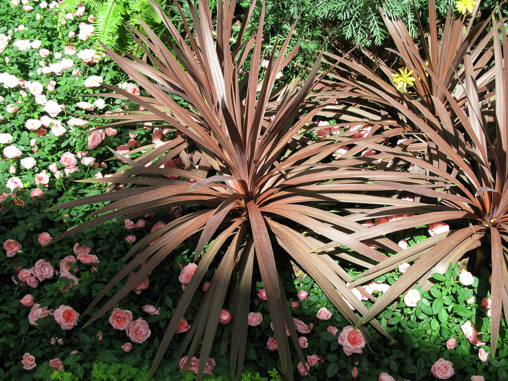 Conservatory at the Bellagio (Summertime)