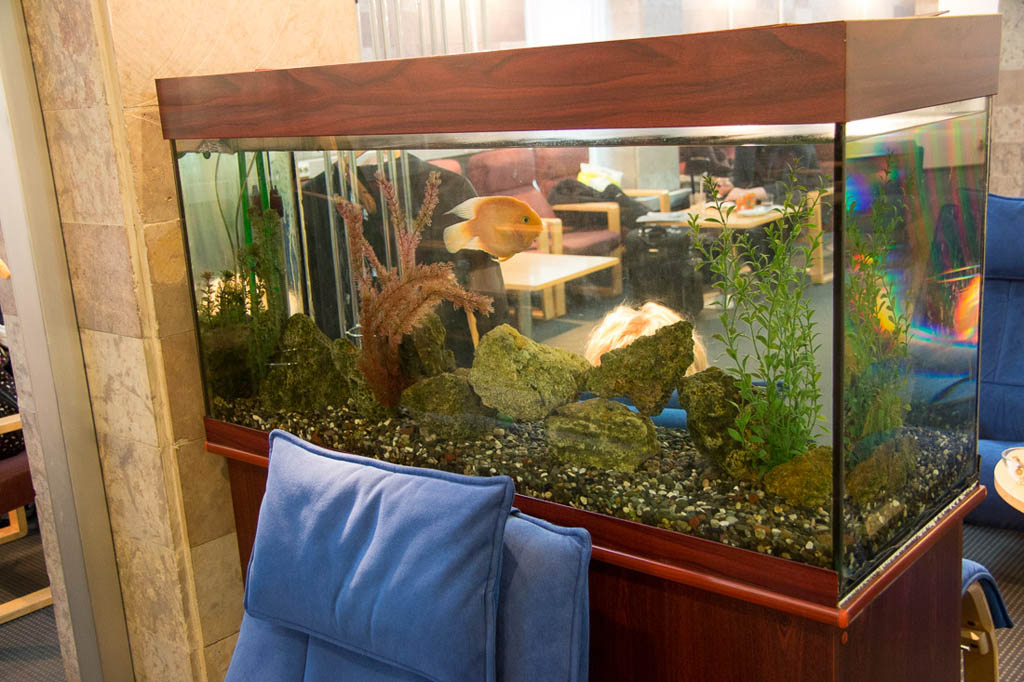 Aquarium at Pulkovo Lounge