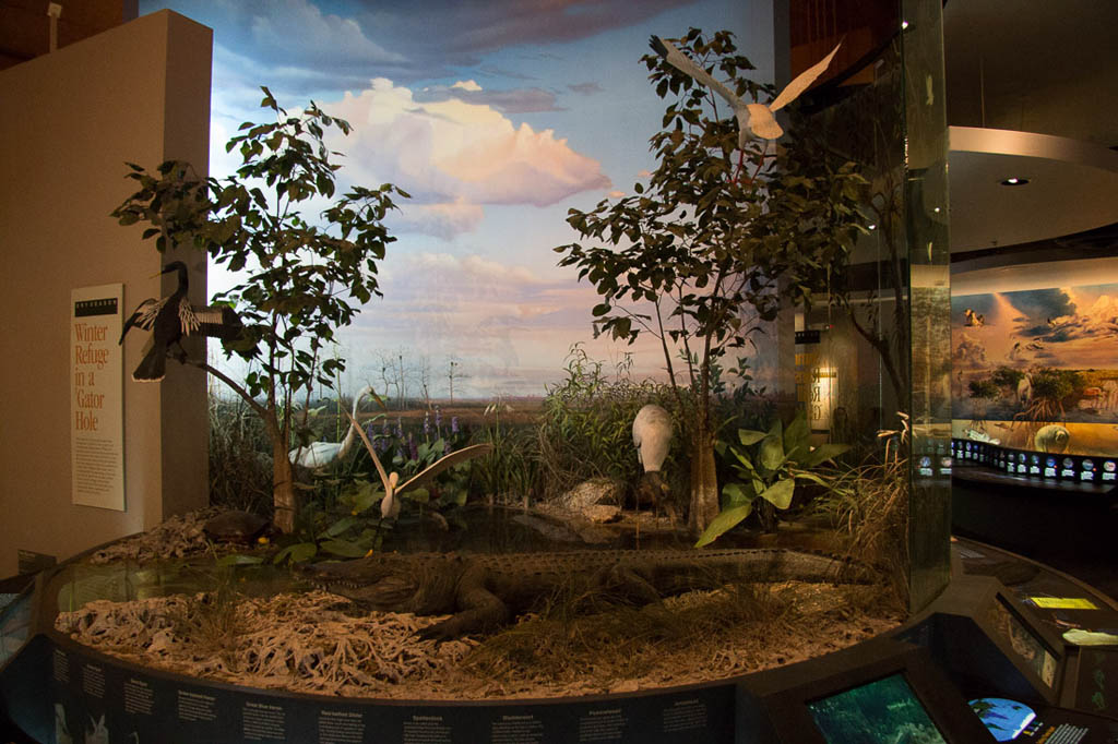 Visitor Center exhibits at Everglades National Park