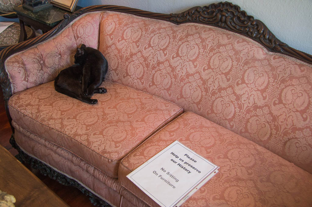 Cats sitting on furniture in Hemingway House Key West