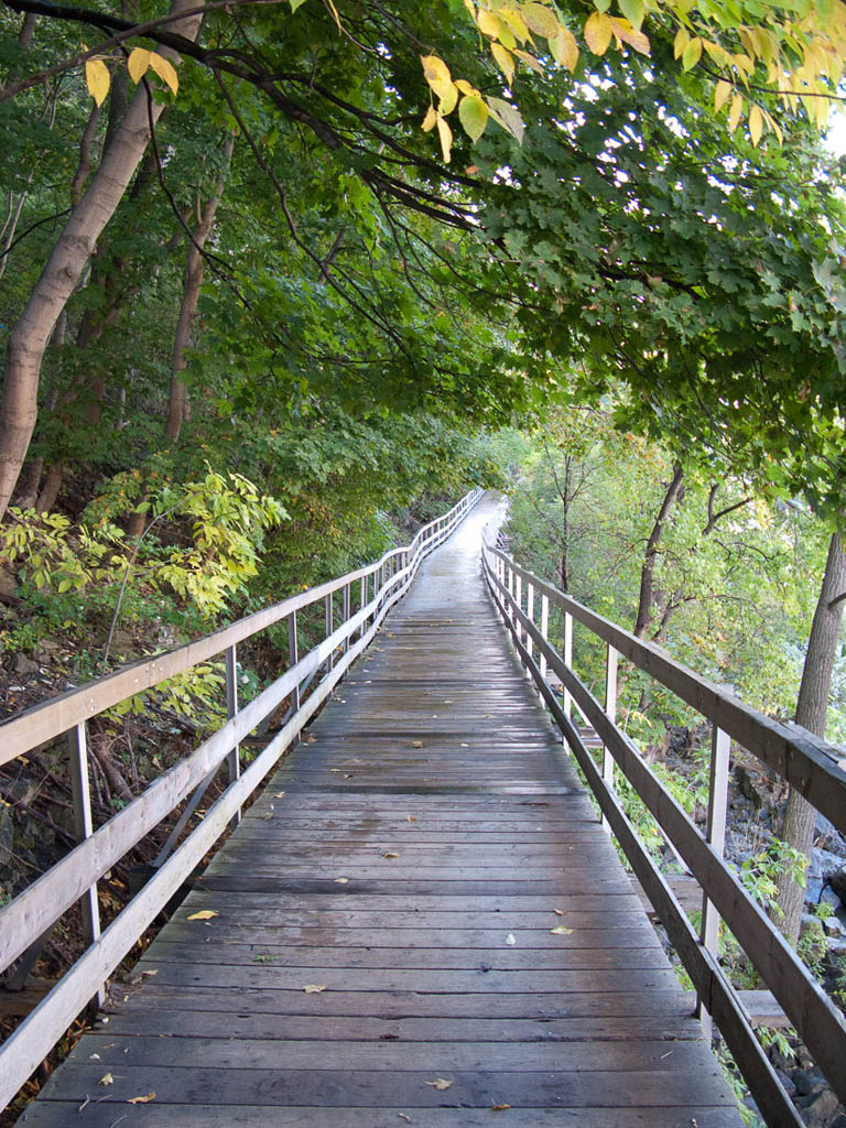 Platform at White Water Walk in Niagara Falls