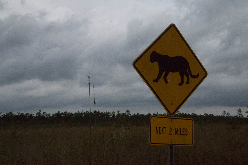 Panther warning at Everglades National Park