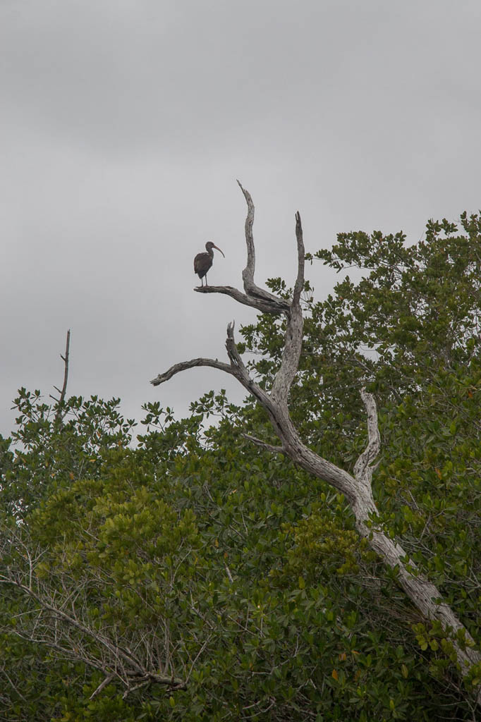 Sites along the water at Everglades National Park