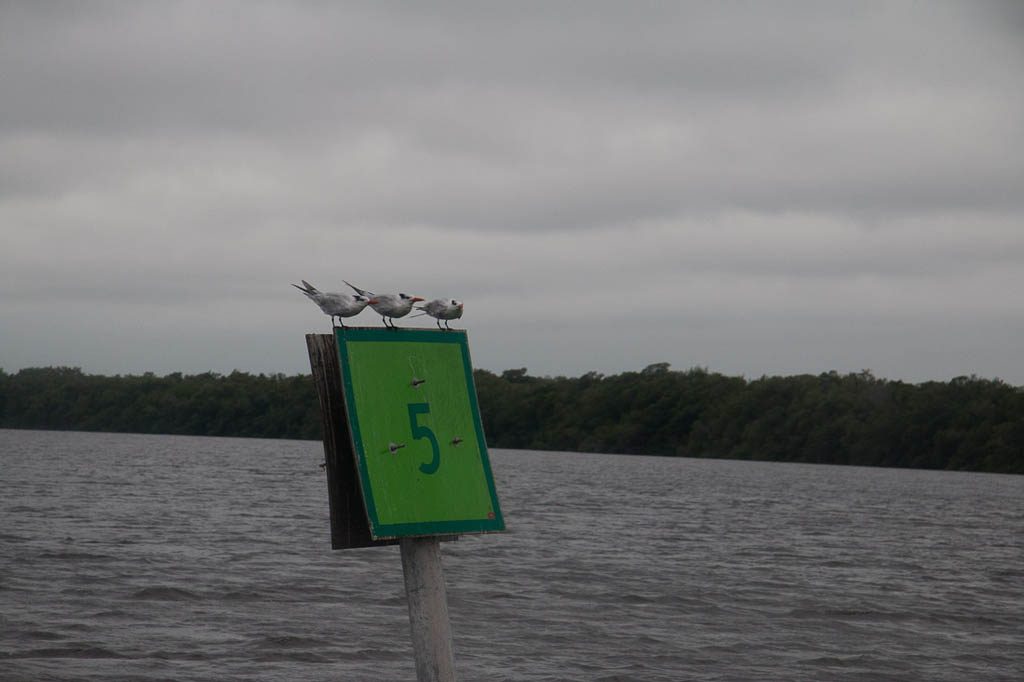 Sites along the water at Everglades National Park