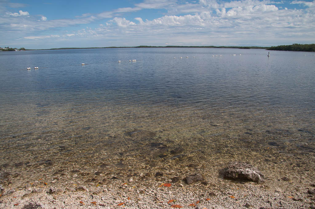 Beaches at John Pennekamp Coral Reef State Park