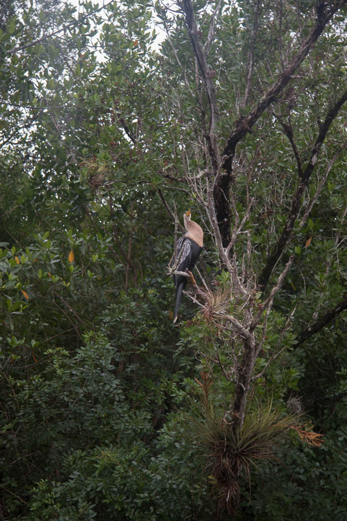 Sites along the water at Everglades National Park