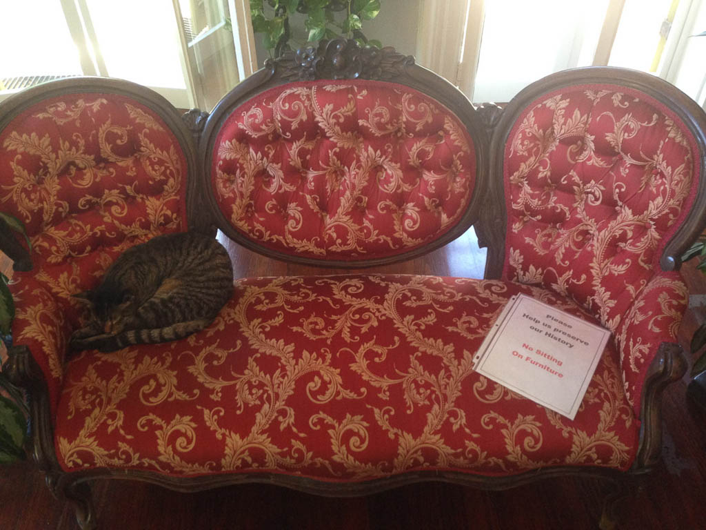 Cats sitting on furniture in Hemingway House