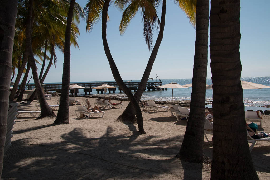 Lounge chairs on beach