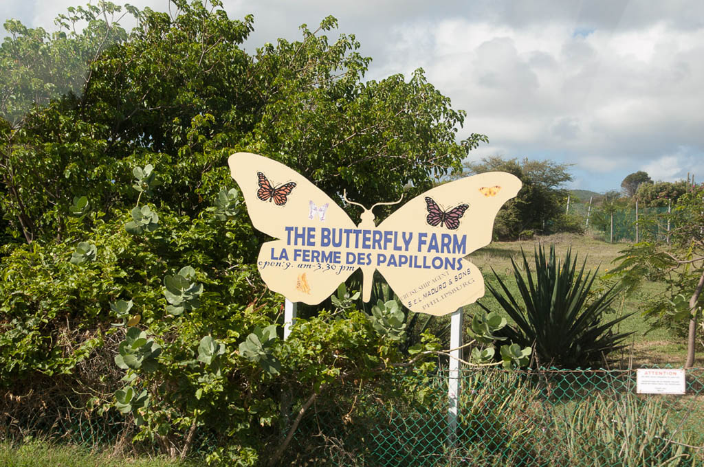 Butterfly Farm in St. Maarten