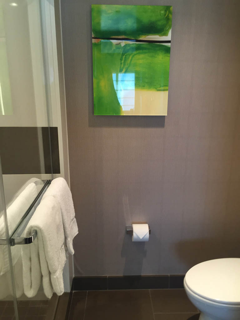 Toilet and Shower in hotel room