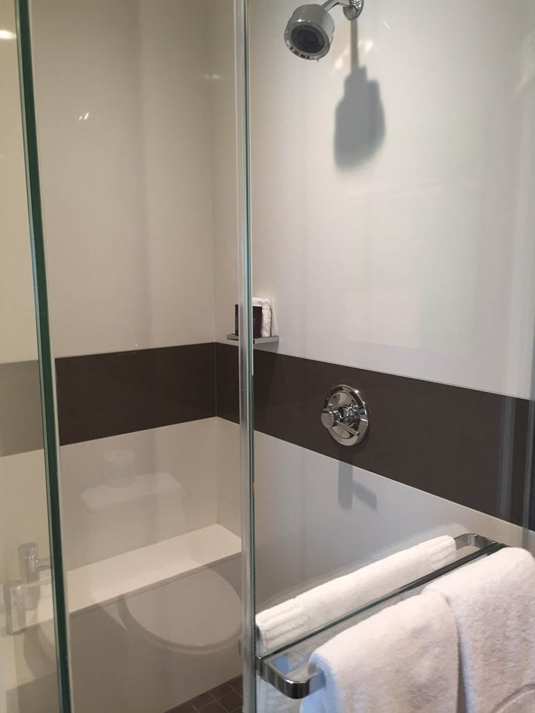 Standalone shower at Vdara Deluxe Suite