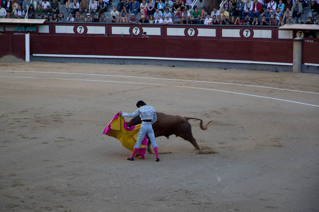 Watching a bullfight in Spain