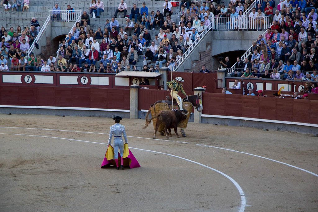 Watching a bullfight in Spain