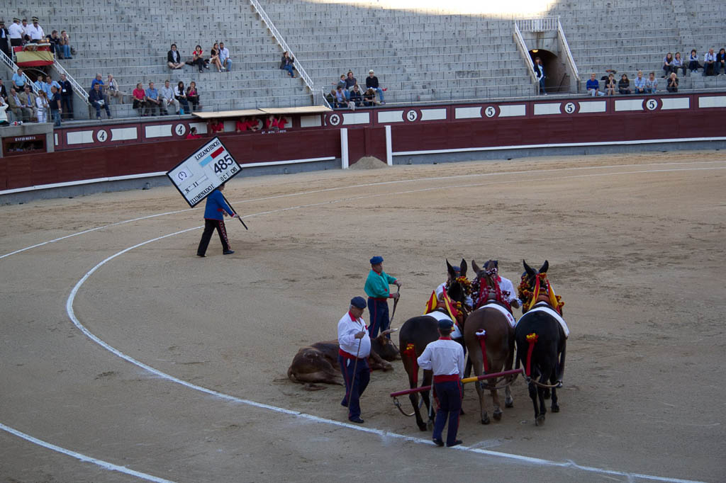 Watching a bullfight in Spain