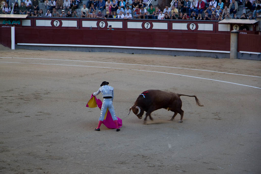 Watching a bullfight in Spain