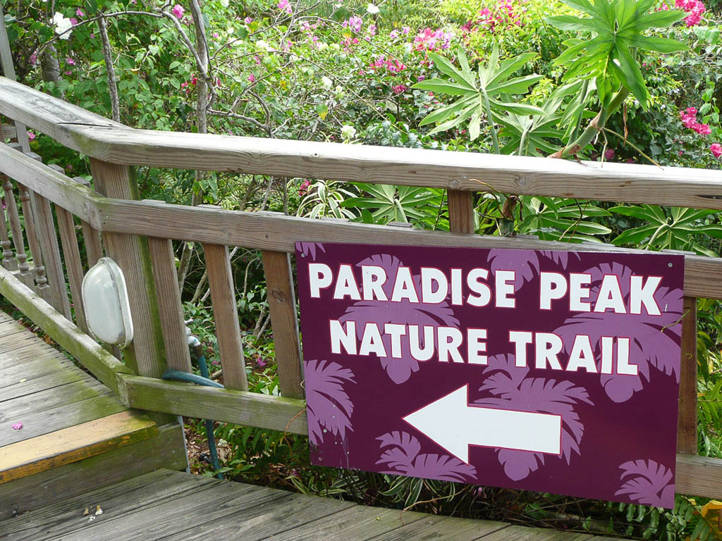 Paradise Point Nature Trail in St. Thomas