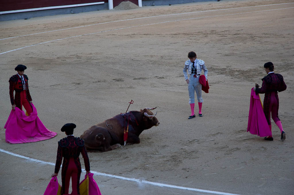 Watching a bullfight in Spain