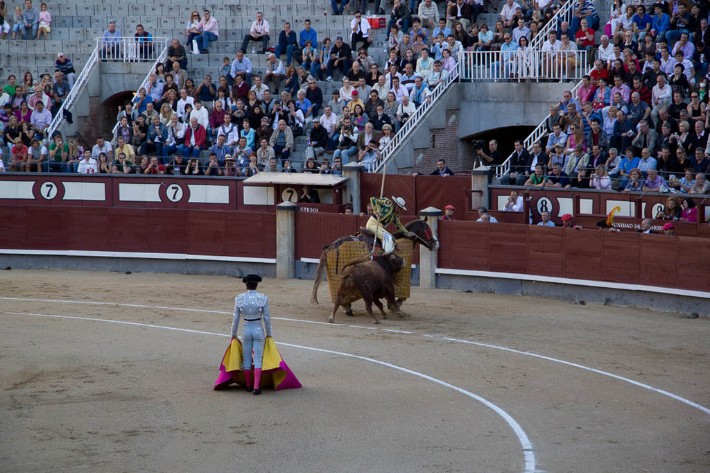 Watching a bullfight in Spain