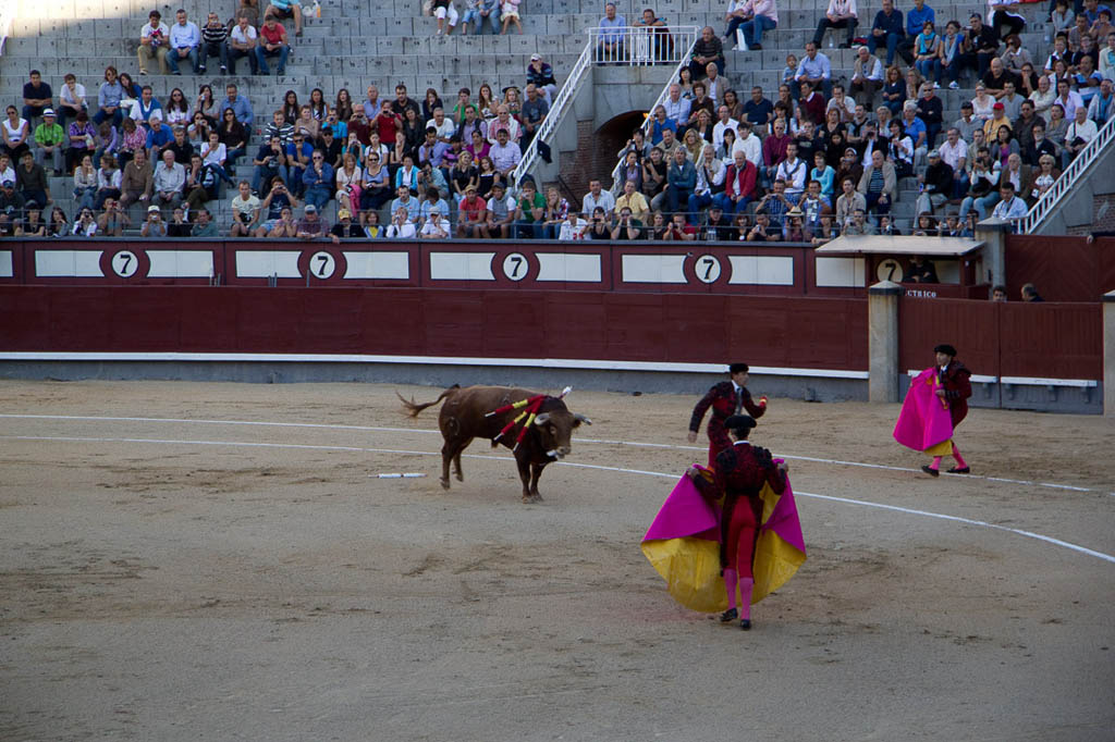 Watching a bullfight in Spain