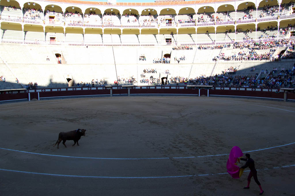 Watching a bullfight in Spain