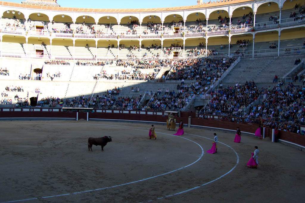 Watching a bullfight in Spain