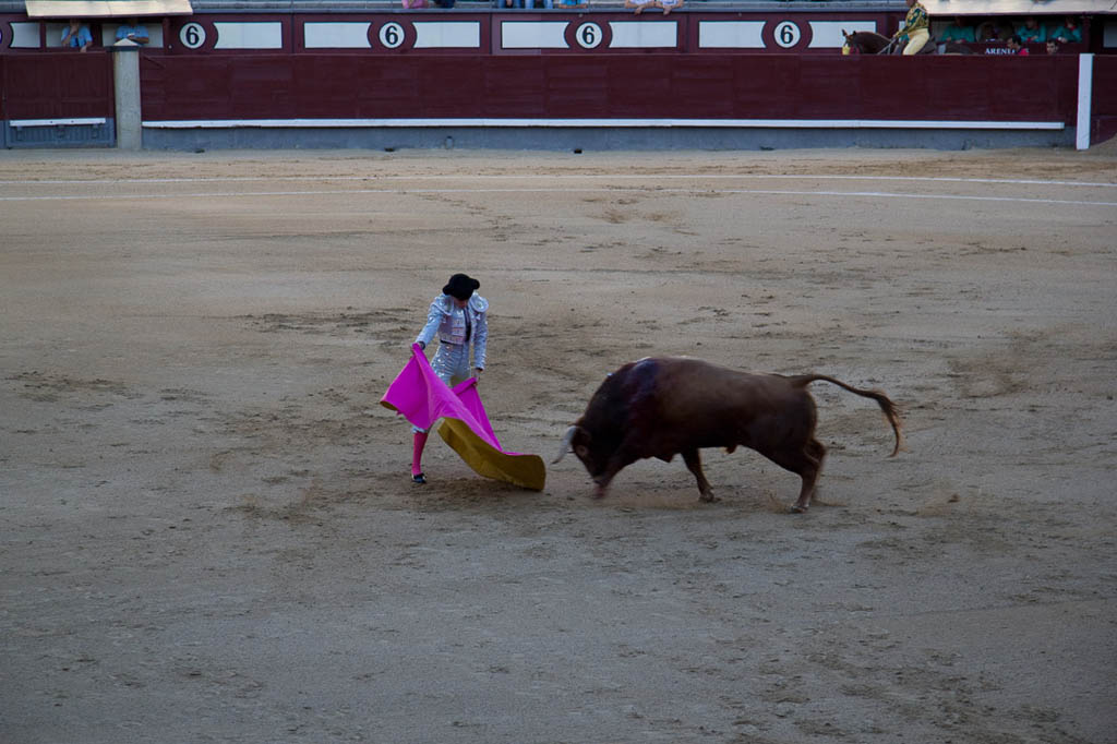 Watching a bullfight in Spain