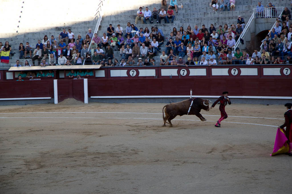Watching a bullfight in Spain