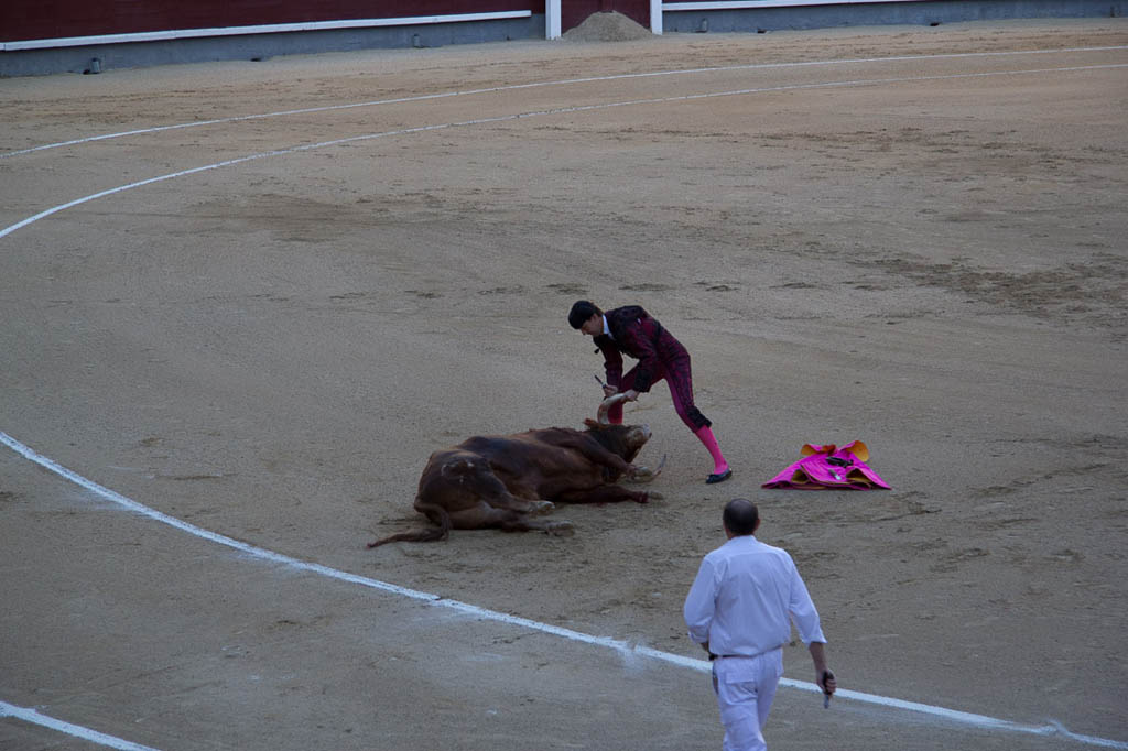 Watching a bullfight in Spain