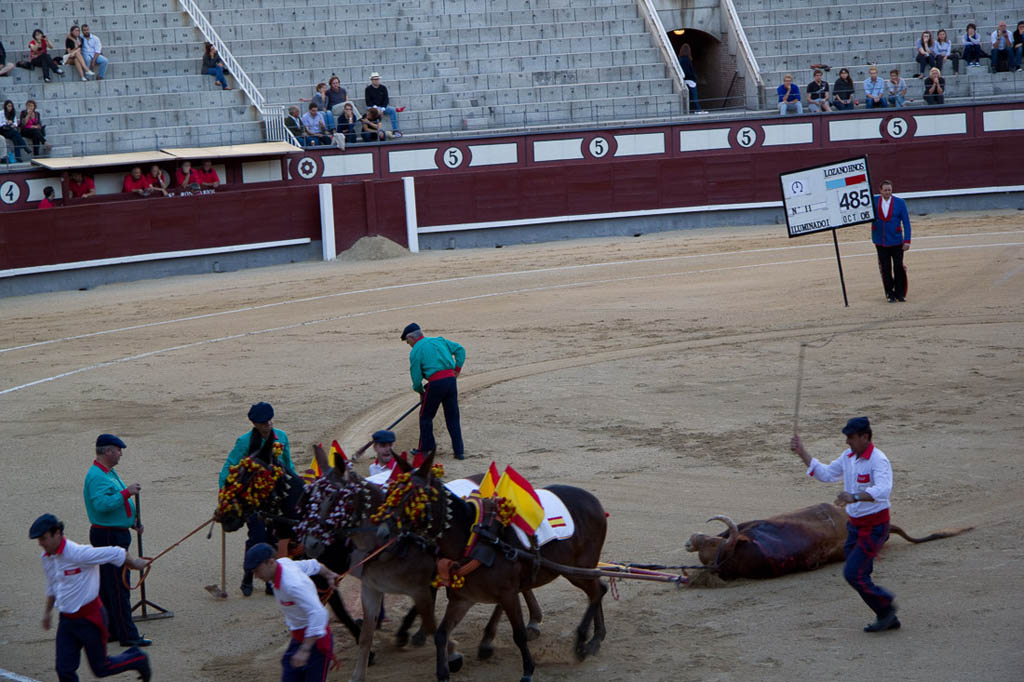 Watching a bullfight in Spain